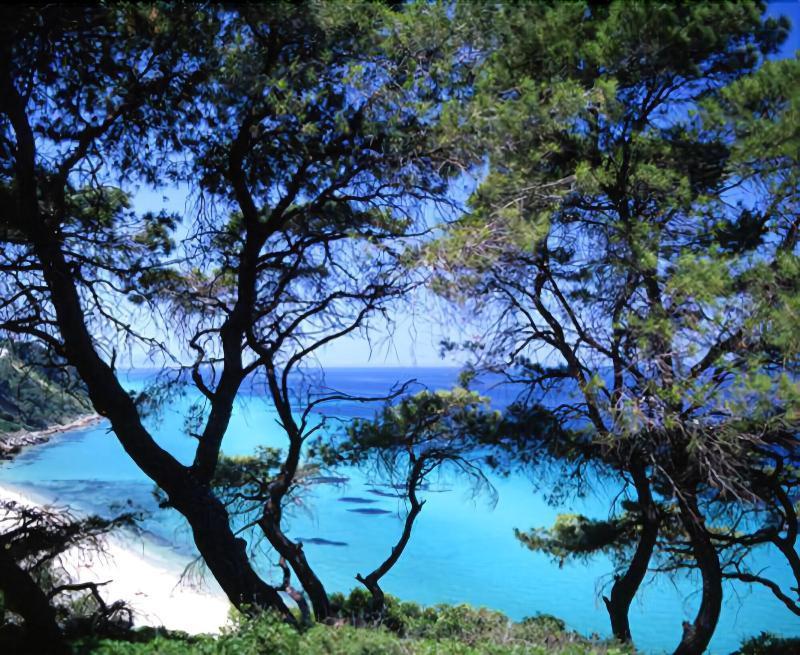 Margarita Sea Side Hotel Kallithea  エクステリア 写真
